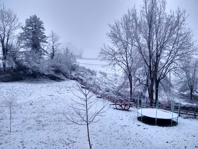 IMG_20180206_075701_HDR%5B1%5D