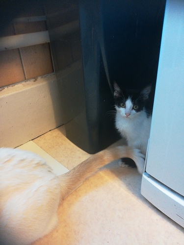 15994146936459050905831513684353