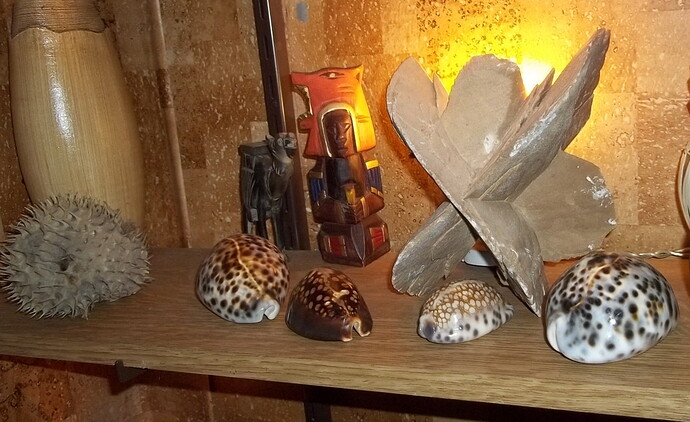 coquillage (1)