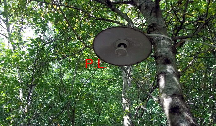 ecl parcour sportif (6)