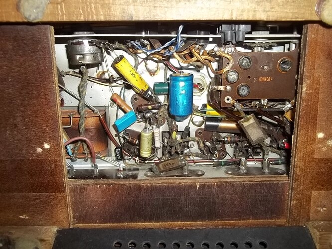 sonorton à oreilles (7)