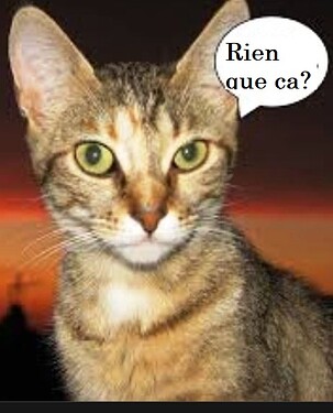 Rien que ça!