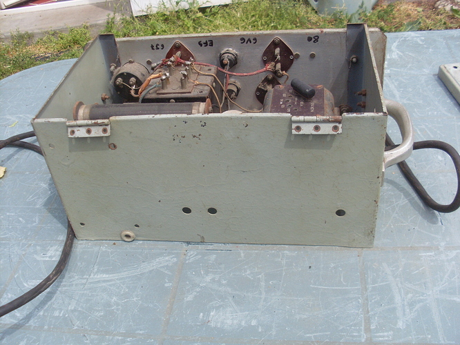 SL384369