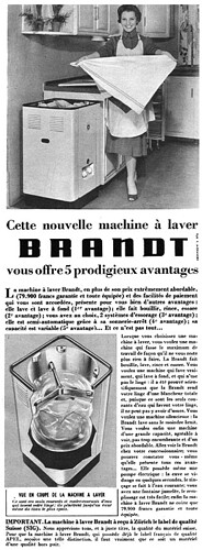 Brandt 1954