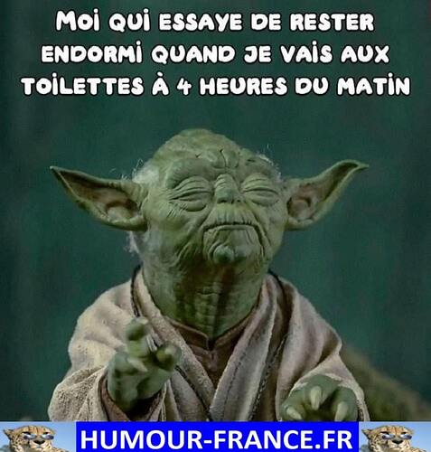 Moi-qui-essaye-de-rester-endormi-quand-je-vais-aux-toilettes-a-4-heures-du-matin