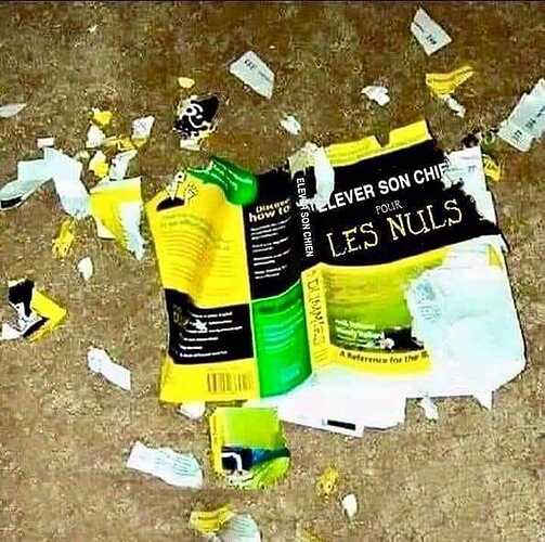 elever-son-chien-pour-les-nuls