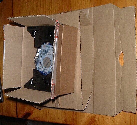 DD_Amazon.jpg