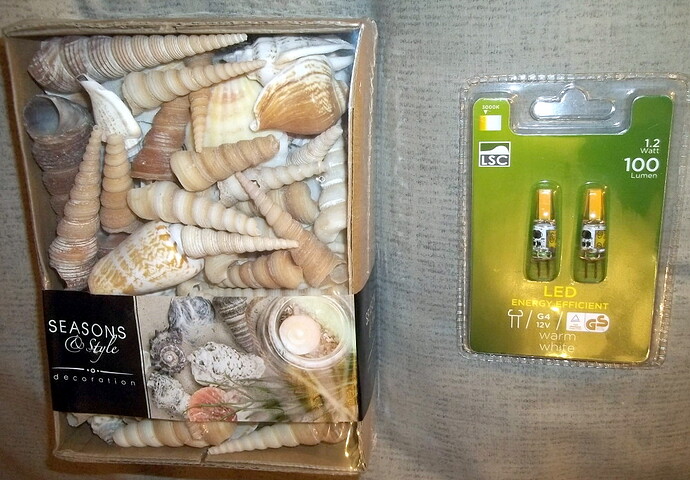 coquillages et ampoules LED (1)