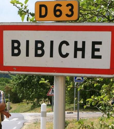 bibiche_29c71fea583811e228d8739943026f1d697cda1d