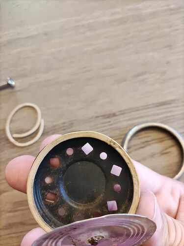 363838101_240958322207560_5523283222935618863_n