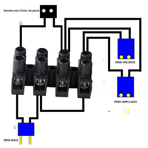 cablage dominos02