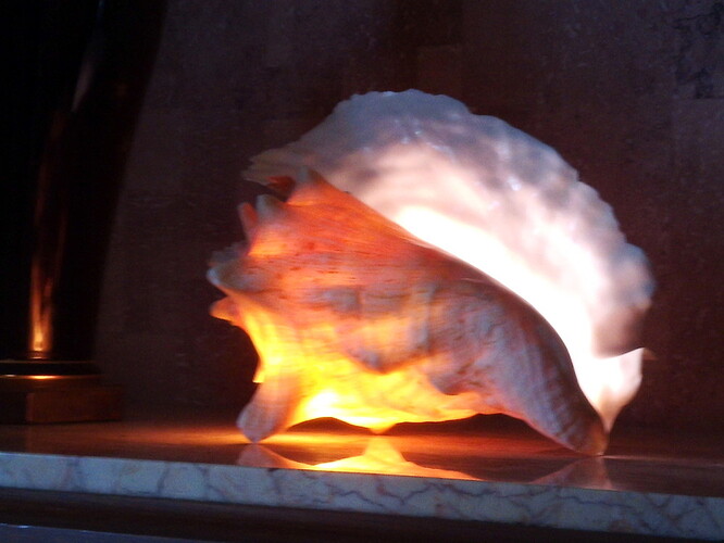 coquillage avec eclairage