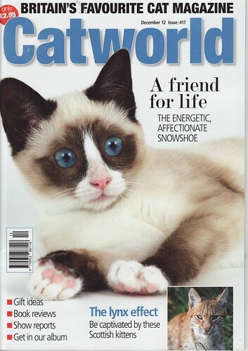 Catworld-01 - The Energetic Affectionate Snowshoe Cat-VGA.jpg