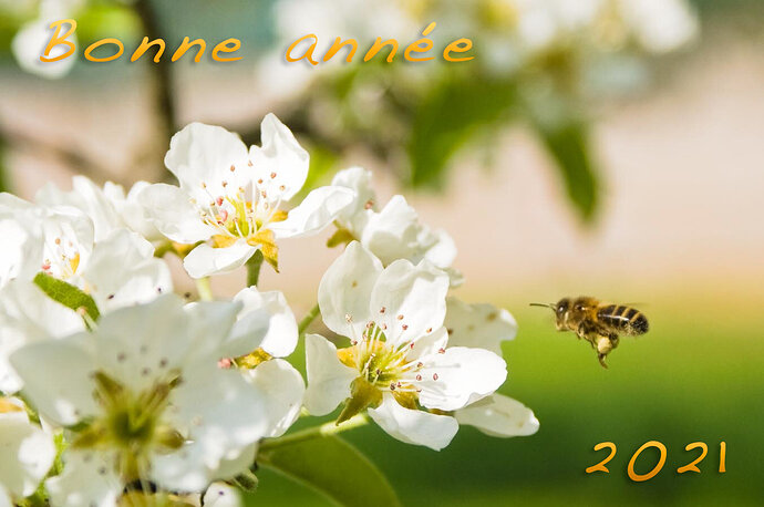 Voeux2021