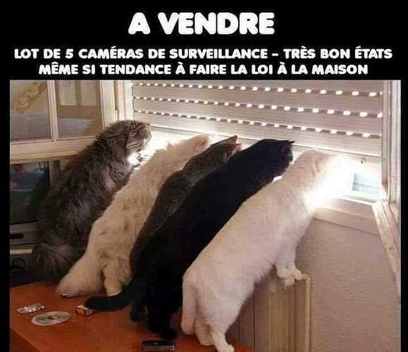 a-vendre-lot-de-5-cameras-de-surveillance