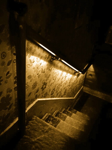 rampe escalier lumineuse (1)