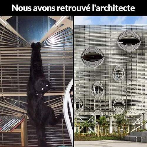nous-avons-retrouve-l-architecte