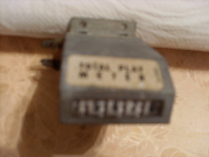 SL380062.JPG