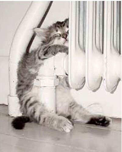 Chaud