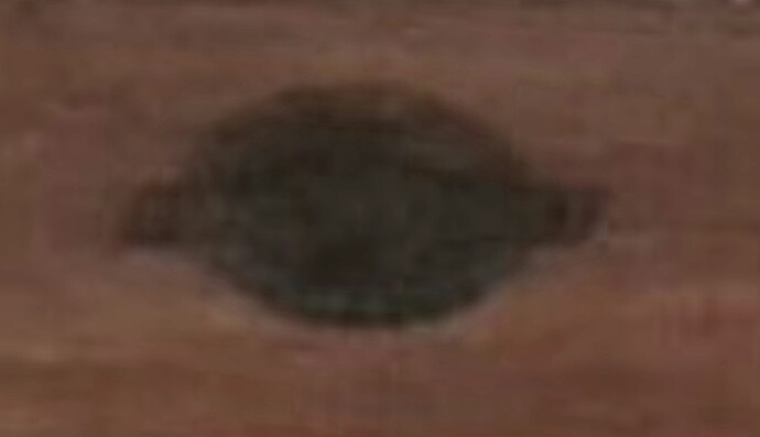 20230728_131309