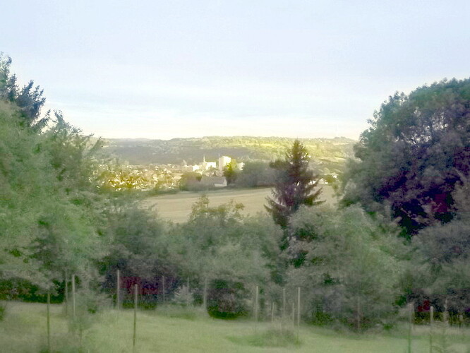 panorama sapinière (3)
