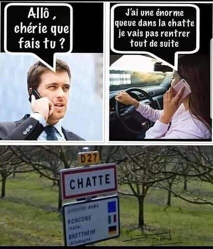la-queue-dans-la-chatte