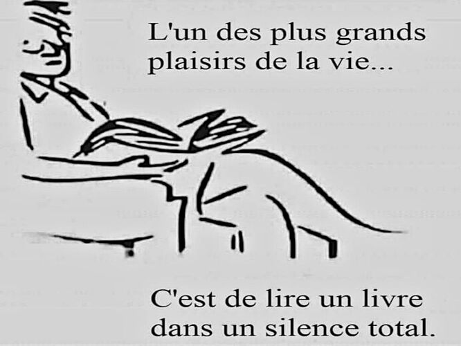 lecture_livre