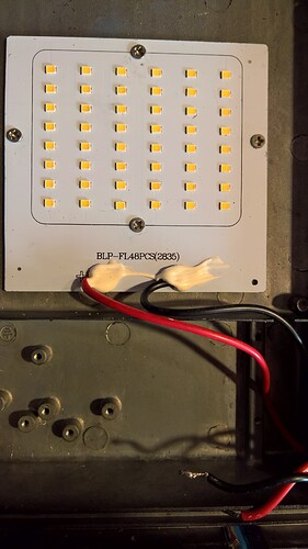 WP_20211103_15_34_44_Pro