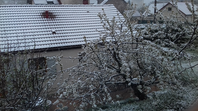 20190404_083901