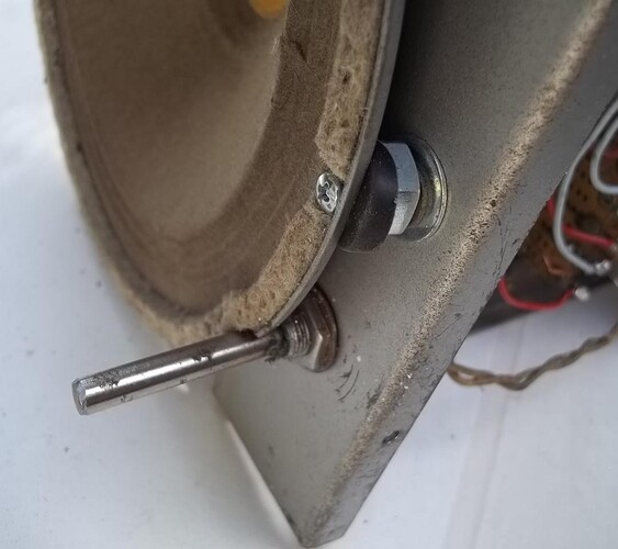 inconnu à oreilles (6)