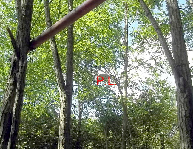 ecl parcour sportif (8)