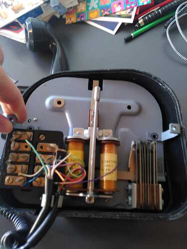 Photo_3