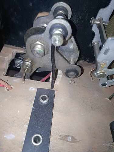 356472564_1243042909559126_7505892927749527966_n