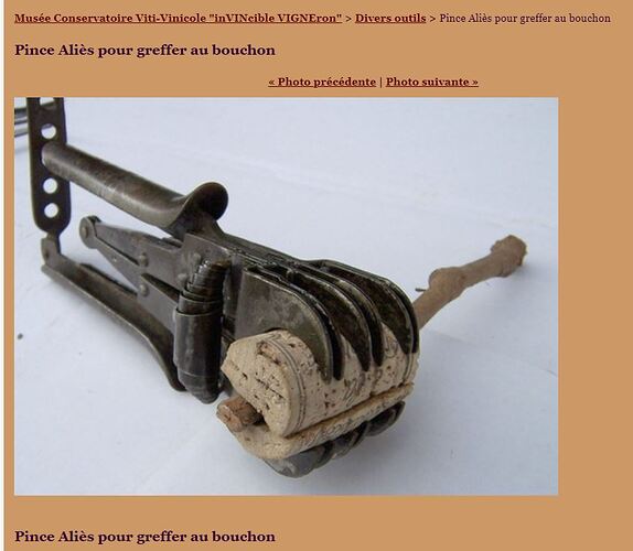 pince greffer