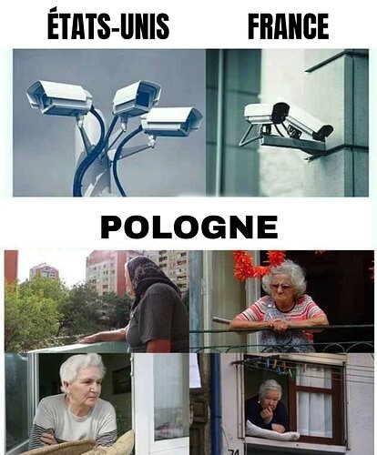 surveillance-generalisee