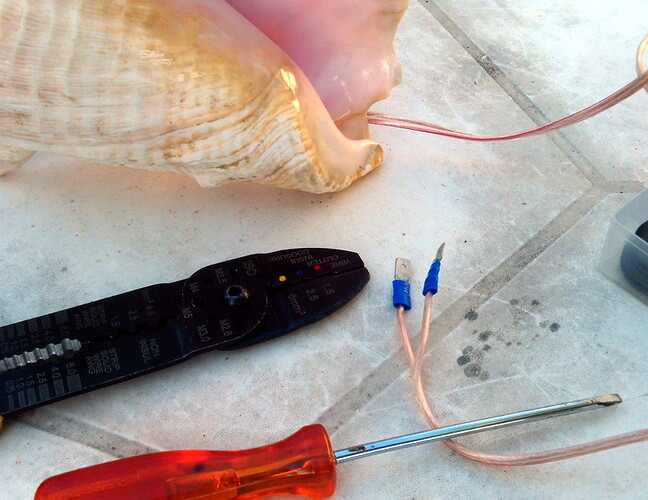 conque-lambi equipement elec (1)
