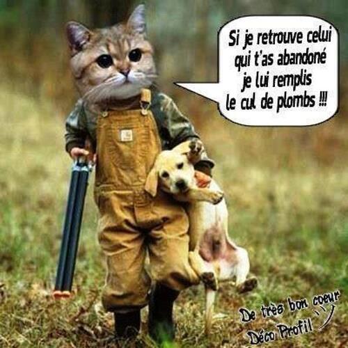 Chat Chasseur