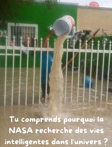 a-la-recherche-de-l-intelligence