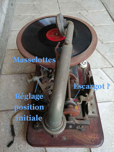 335912245_5385181434916870_1282188409250345613_n