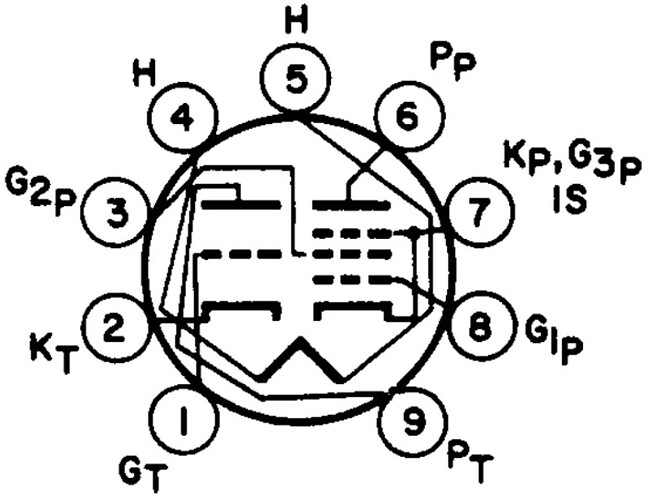 L1