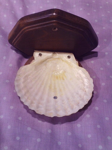 support telephone portable coquille (2)