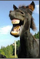 rire