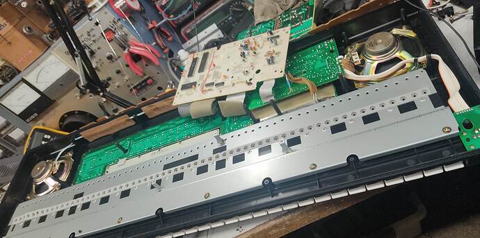 338451155_208093321911404_5715630494948462162_n