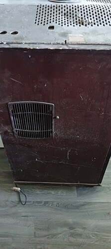 IMG20221004120620