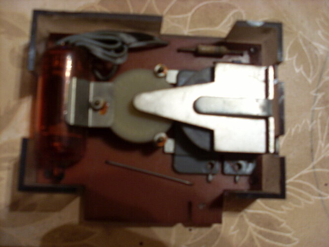 SL380061.JPG