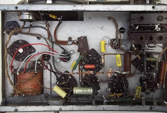 inconnu à oreilles (3)