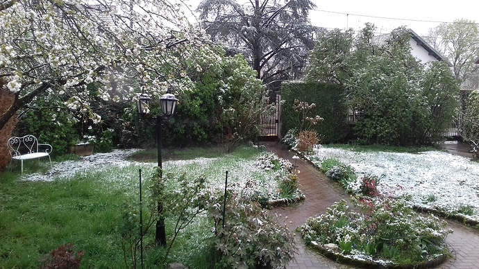 20190404_095535
