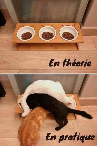 la-theorie-et-la-pratique