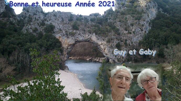 Voeux2021Format
