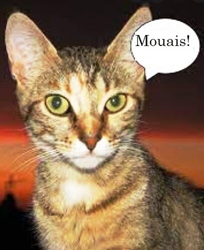 Mouais!